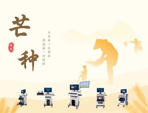 芒种提醒：定期检测骨密度，守护骨骼健康